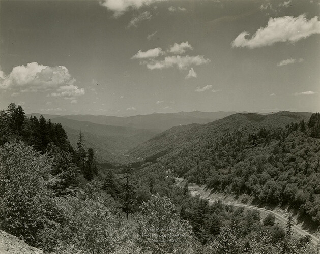 wcu_great_smoky_mtns-6968.jpg