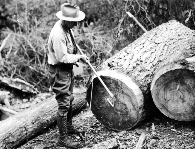 unca_forestry-1931.jp2