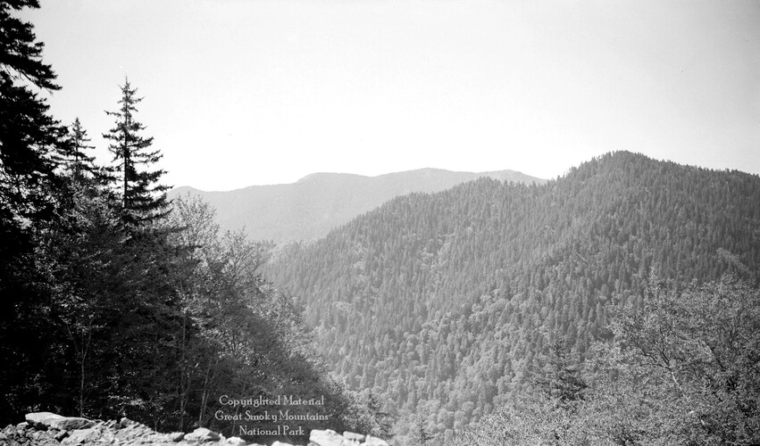 gsmnp_208328_0220.jpg