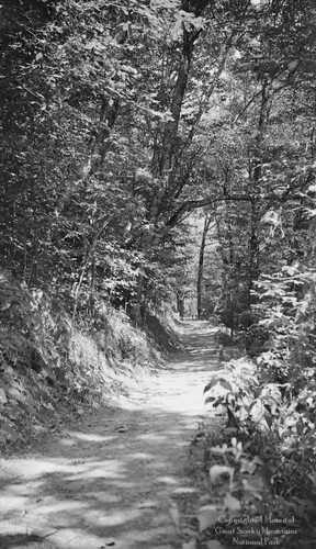 gsmnp_208328_0224.jpg