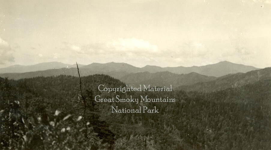 wcu_great_smoky_mtns-6382.jpg