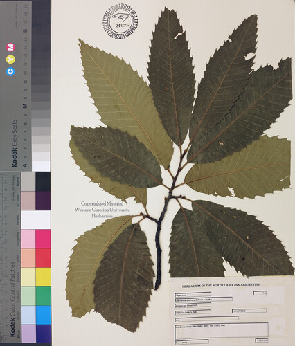 wcu-herbarium20.jpg