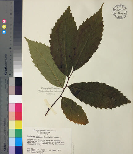 wcu-herbarium25.jpg