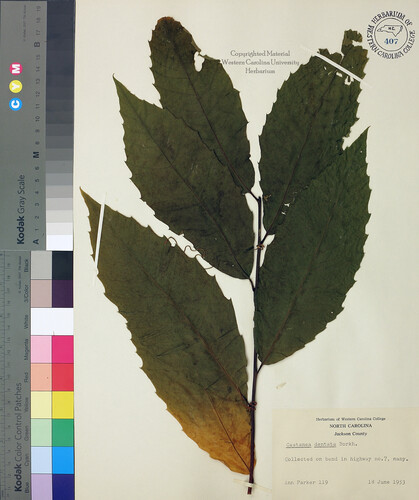 wcu-herbarium30.jpg