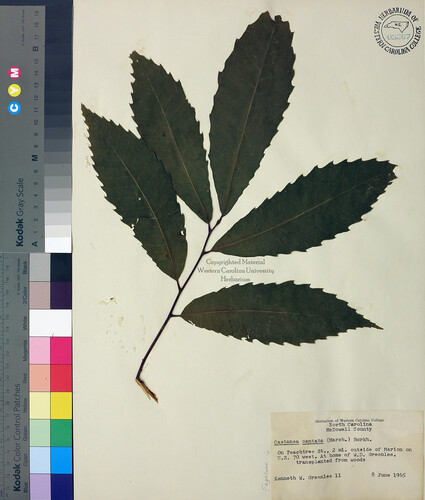 wcu-herbarium34.jpg