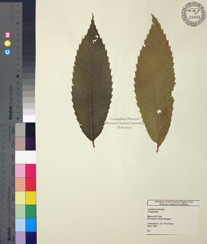 wcu-herbarium39.jpg