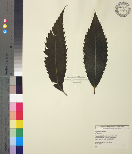 wcu-herbarium43.jpg