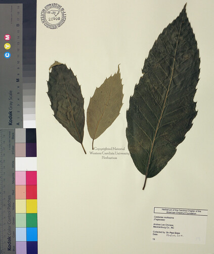 wcu-herbarium51.jpg