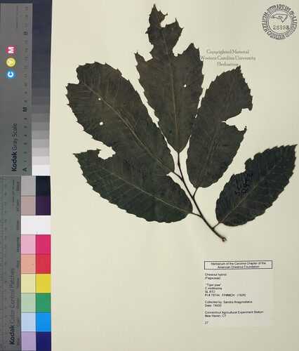 wcu-herbarium55.jpg