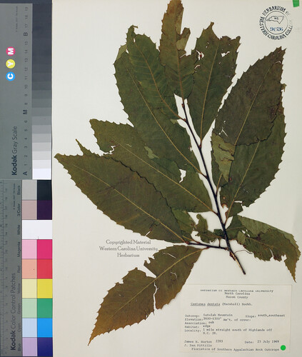 wcu-herbarium64.jpg