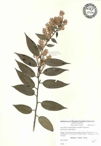 wcu-herbarium74.jpg