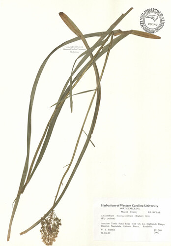 wcu-herbarium75.jpg