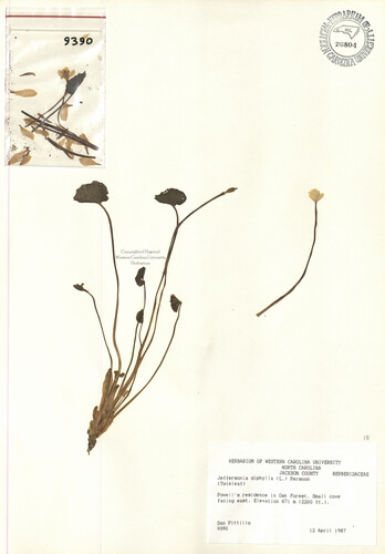 wcu-herbarium79.jpg