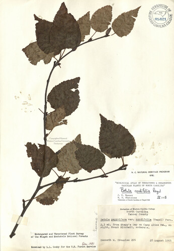 wcu-herbarium86.jpg