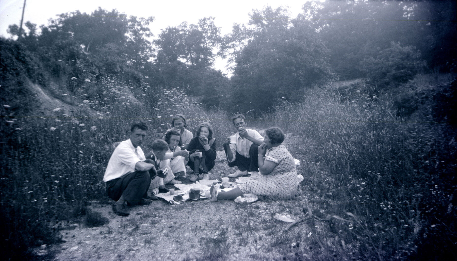 Group having picnic