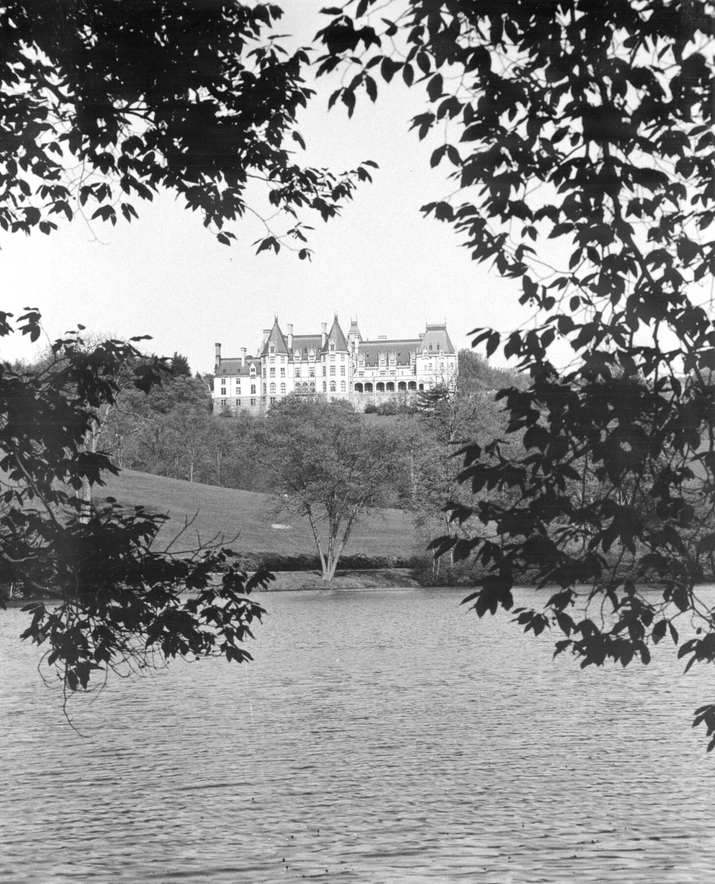 Biltmore Estate | Search | Collections | Southern Appalachian 
