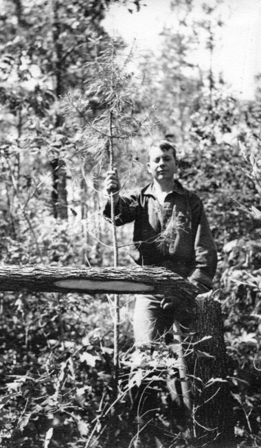 unca_forestry-1953.jp2