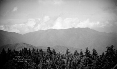 gsmnp_208328_0336.jpg