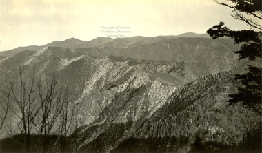 wcu_great_smoky_mtns-2158.jpg