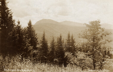 wcu_great_smoky_mtns-4058.jpg