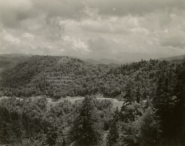 wcu_great_smoky_mtns-6990.jpg