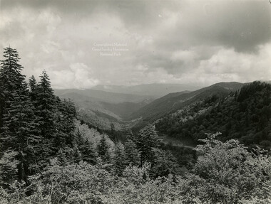 wcu_great_smoky_mtns-7024.jpg