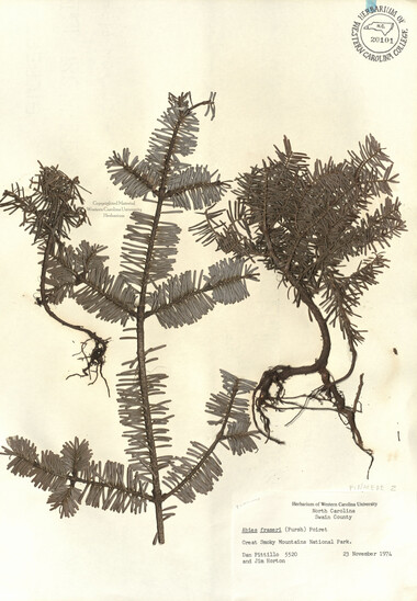 wcu-herbarium89.jpg