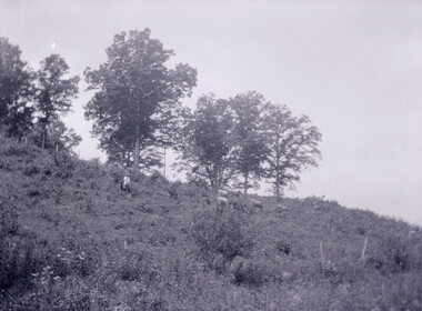 hl-mss21-02-07-neg-0442.jpg