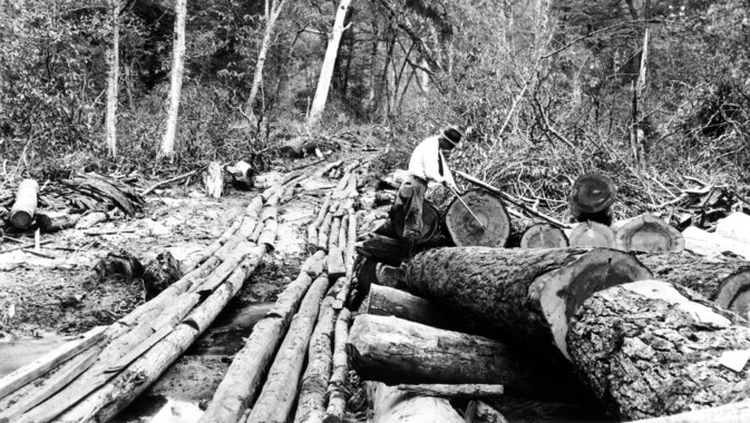 unca_forestry-1929.jp2