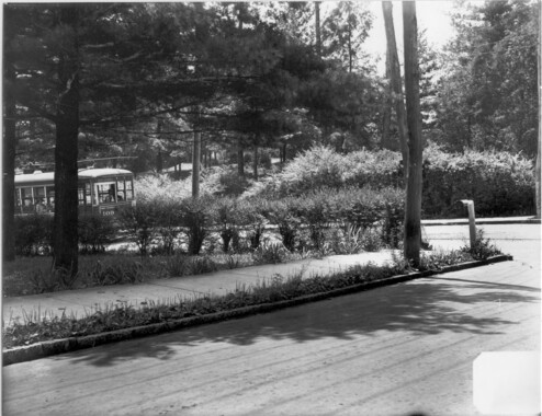 unca_photographs-2328.jp2