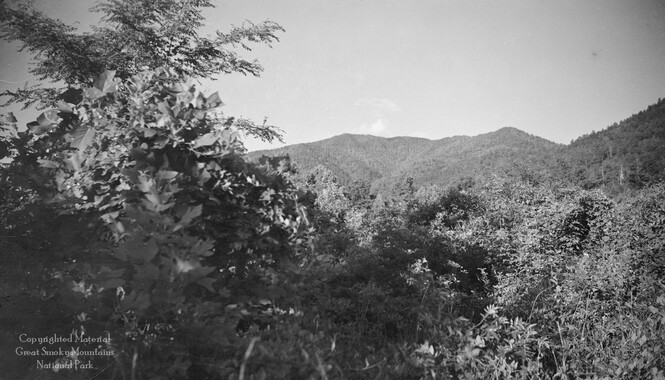 gsmnp_208328_0097.jpg