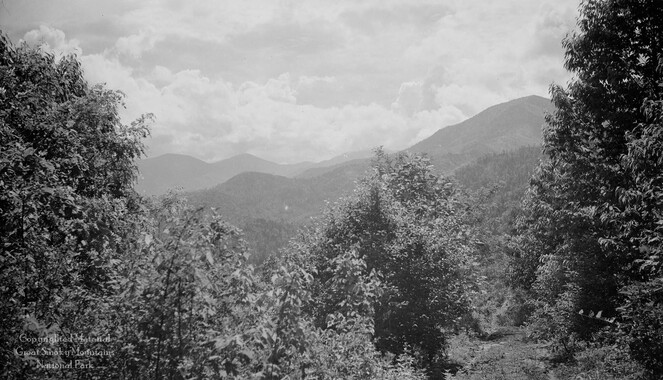 gsmnp_208328_0100.jpg