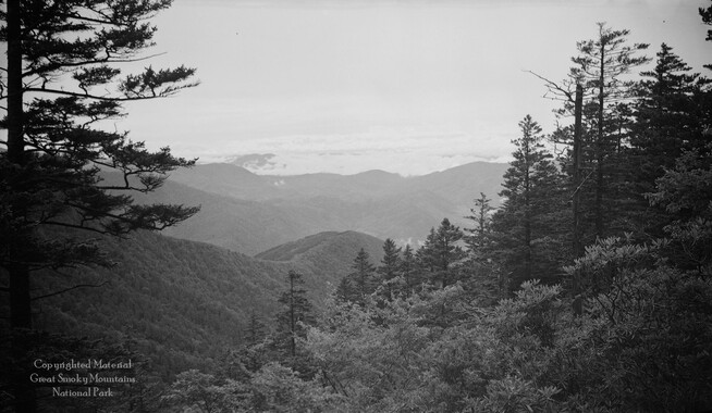 gsmnp_208328_0203.jpg