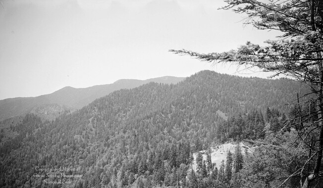 gsmnp_208328_0218.jpg