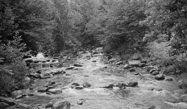 gsmnp_208328_0253.jpg