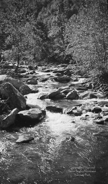 gsmnp_208328_0391.jpg