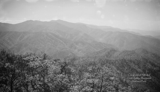 gsmnp_208328_0398.jpg