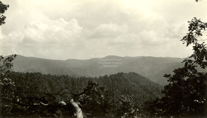 wcu_great_smoky_mtns-2107.jpg