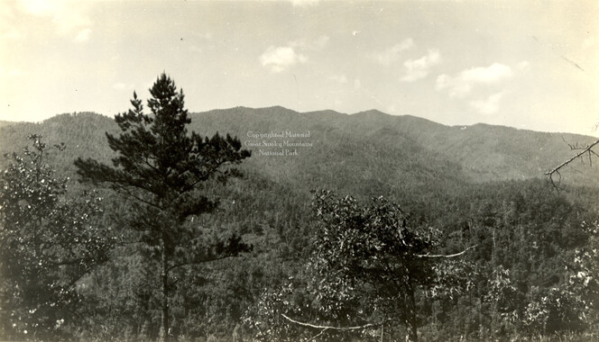 wcu_great_smoky_mtns-2164.jpg