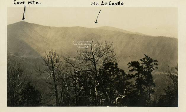 wcu_great_smoky_mtns-5053.jpg