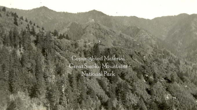 wcu_great_smoky_mtns-6016.jpg