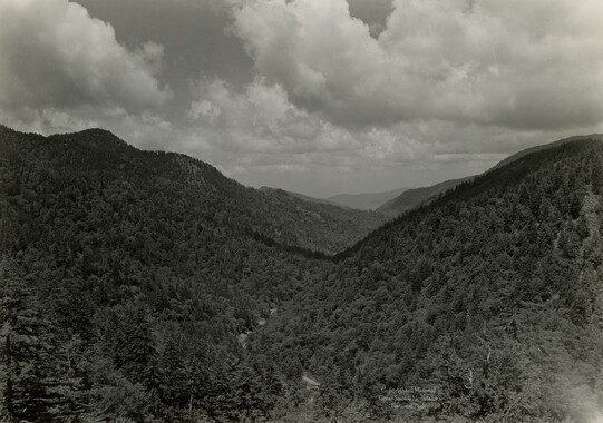 wcu_great_smoky_mtns-6970.jpg