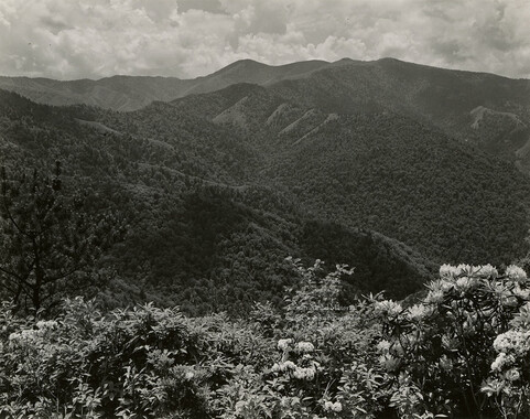 wcu_great_smoky_mtns-7028.jpg