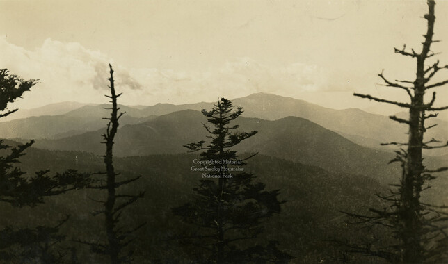 wcu_great_smoky_mtns-7843.jpg