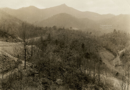 wcu_great_smoky_mtns-8300.jpg