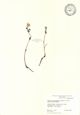 wcu-herbarium81.jpg