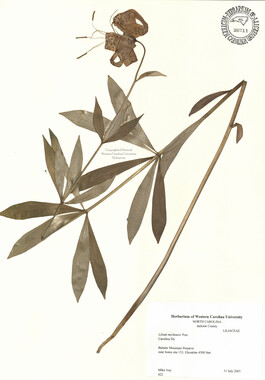 wcu-herbarium83.jpg